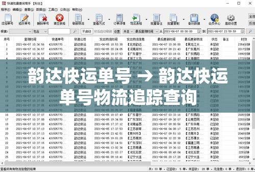 韵达快运单号 → 韵达快运单号物流追踪查询