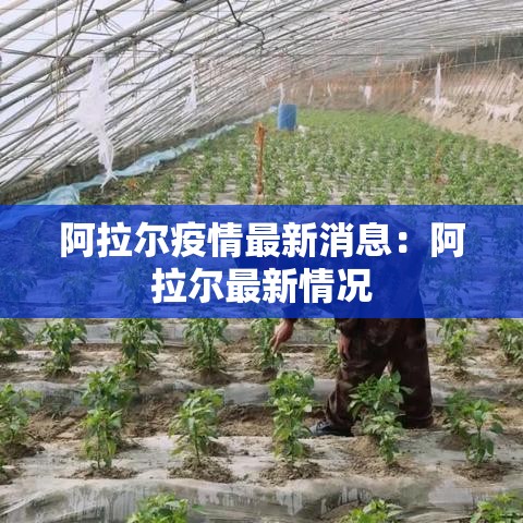 阿拉尔疫情最新消息：阿拉尔最新情况