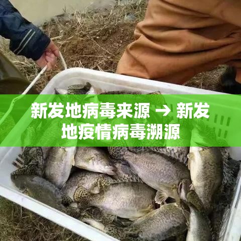 新发地病毒来源 → 新发地疫情病毒溯源
