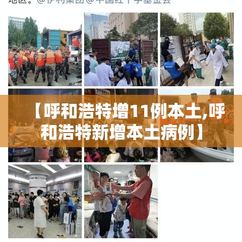 【呼和浩特增11例本土,呼和浩特新增本土病例】