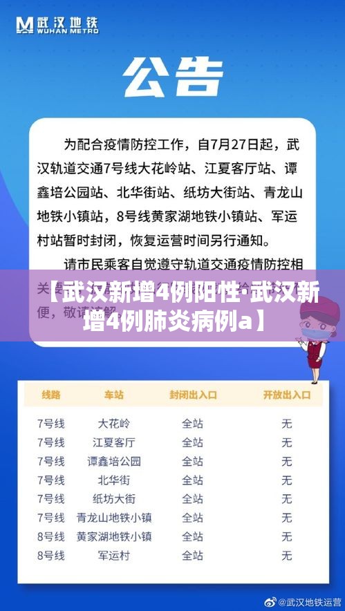 【武汉新增4例阳性·武汉新增4例肺炎病例a】