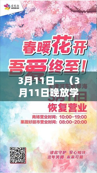 3月11日—（3月11日晚放学高峰）