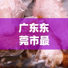 广东东莞市最新疫情›广东东莞市最新疫情消息