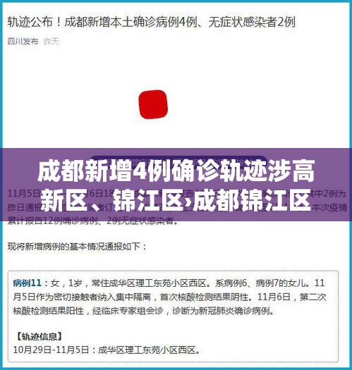 成都新增4例确诊轨迹涉高新区、锦江区›成都锦江区新冠疫情