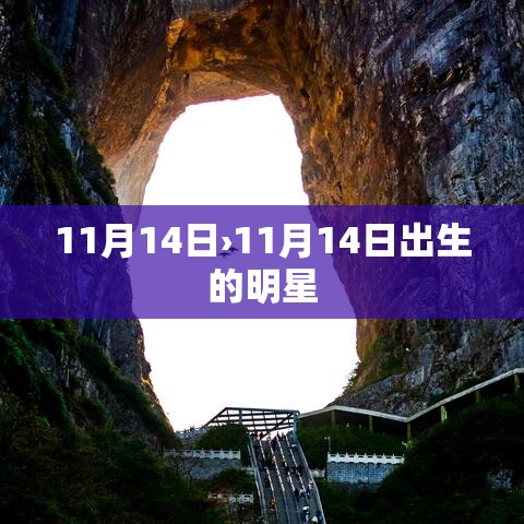 11月14日›11月14日出生的明星