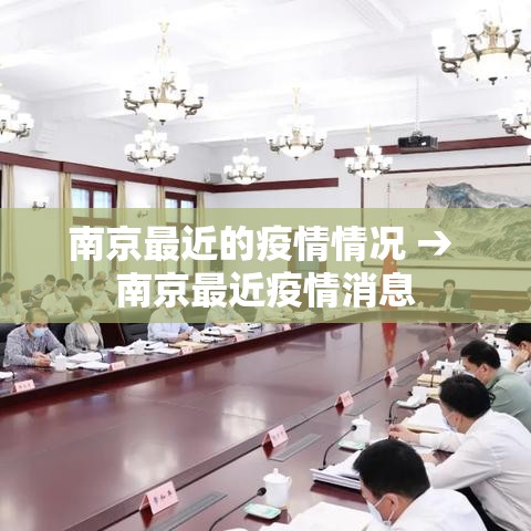 南京最近的疫情情况 → 南京最近疫情消息