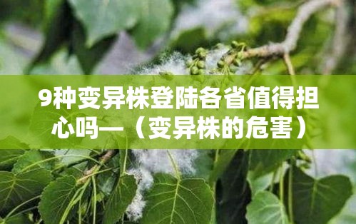 9种变异株登陆各省值得担心吗—（变异株的危害）