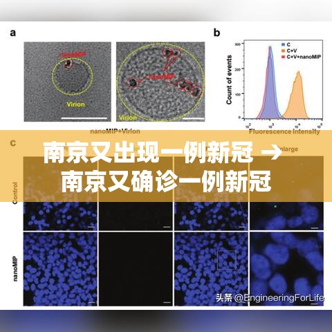 南京又出现一例新冠 → 南京又确诊一例新冠 南京又出现一例新冠 → 南京又确诊一例新冠