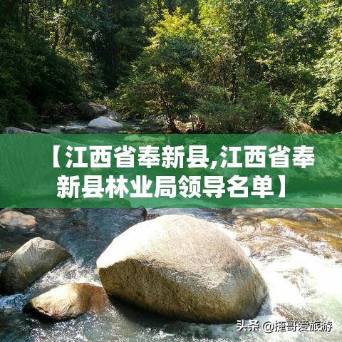 【江西省奉新县,江西省奉新县林业局领导名单】