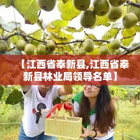 【江西省奉新县,江西省奉新县林业局领导名单】 【江西省奉新县,江西省奉新县林业局领导名单】