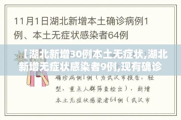 【湖北新增30例本土无症状,湖北新增无症状感染者9例,现有确诊病例6例】