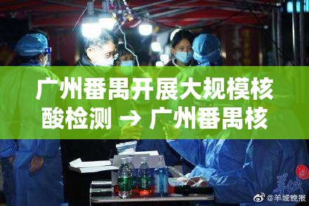 广州番禺开展大规模核酸检测 → 广州番禺核酸检测时间