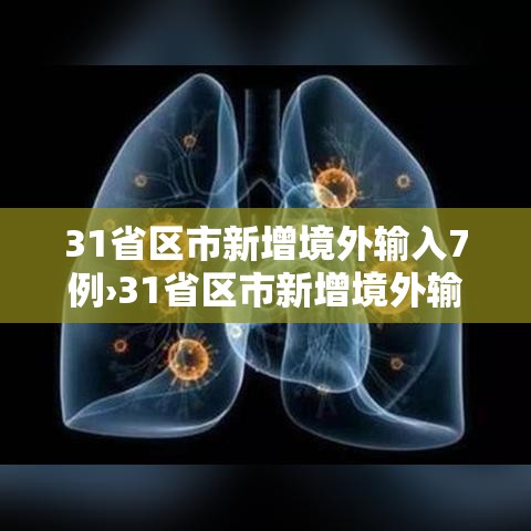 31省区市新增境外输入7例›31省区市新增境外输入确诊17例