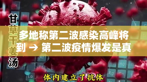 多地称第二波感染高峰将到 → 第二波疫情爆发是真的吗