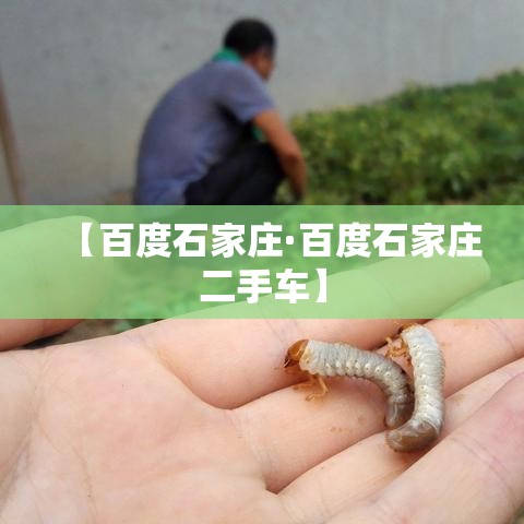 【百度石家庄·百度石家庄二手车】