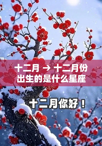 十二月 → 十二月份出生的是什么星座