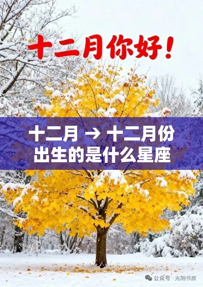 十二月 → 十二月份出生的是什么星座 十二月 → 十二月份出生的是什么星座