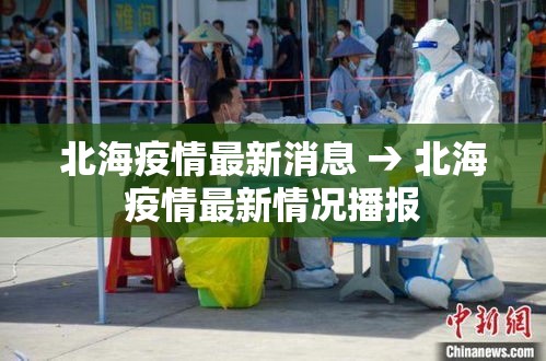 北海疫情最新消息 → 北海疫情最新情况播报