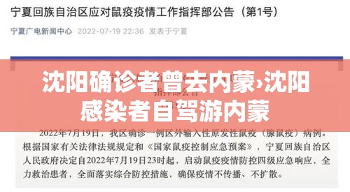 沈阳确诊者曾去内蒙›沈阳感染者自驾游内蒙 沈阳确诊者曾去内蒙›沈阳感染者自驾游内蒙