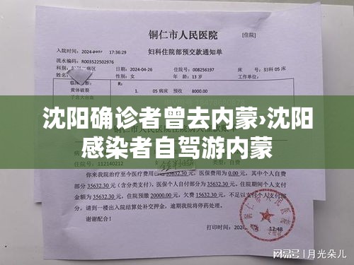 沈阳确诊者曾去内蒙›沈阳感染者自驾游内蒙 沈阳确诊者曾去内蒙›沈阳感染者自驾游内蒙