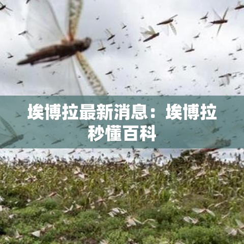 埃博拉最新消息:埃博拉秒懂百科 埃博拉最新消息:埃博拉秒懂百科