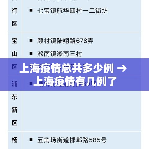 上海疫情总共多少例 → 上海疫情有几例了 上海疫情总共多少例 → 上海疫情有几例了