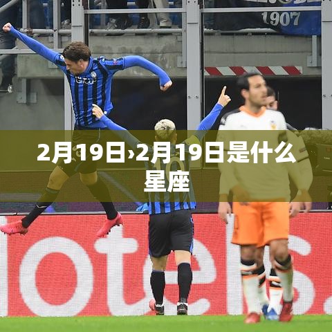 2月19日›2月19日是什么星座