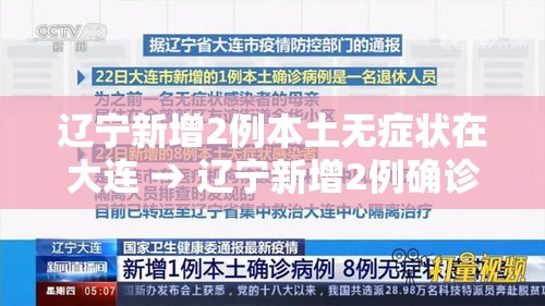 辽宁新增2例本土无症状在大连 → 辽宁新增2例确诊 在沈阳大连