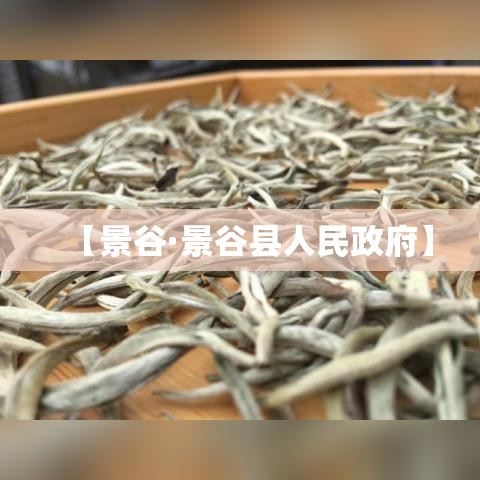 【景谷·景谷县人民政府】