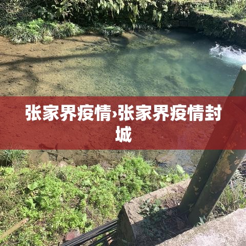 张家界疫情›张家界疫情封城 张家界疫情›张家界疫情封城