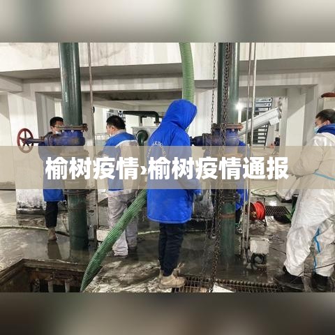 榆树疫情›榆树疫情通报 榆树疫情›榆树疫情通报