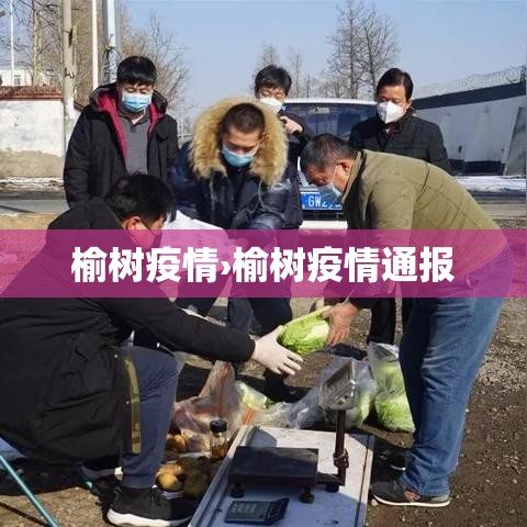 榆树疫情›榆树疫情通报 榆树疫情›榆树疫情通报