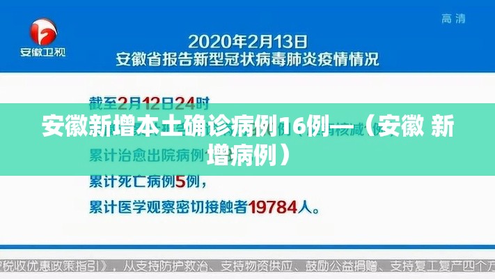 安徽新增本土确诊病例16例—(安徽 新增病例) 安徽新增本土确诊病例16例—(安徽 新增病例)