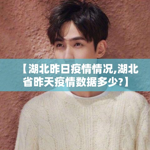 【湖北昨日疫情情况,湖北省昨天疫情数据多少?】