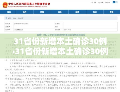 31省份新增本土确诊30例›31省份新增本土确诊30例? 31省份新增本土确诊30例›31省份新增本土确诊30例?
