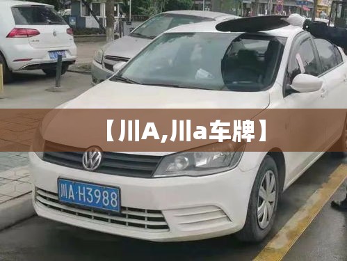 【川A,川a车牌】
