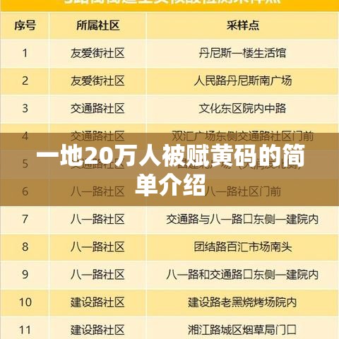 一地20万人被赋黄码的简单介绍