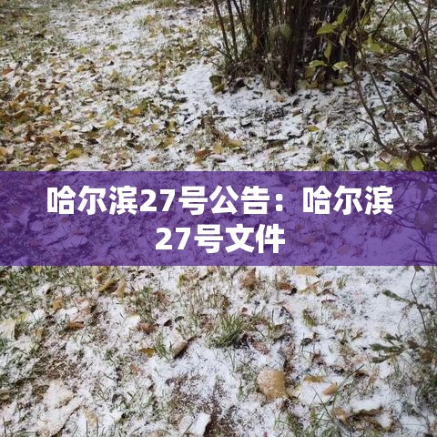 哈尔滨27号公告:哈尔滨27号文件 哈尔滨27号公告:哈尔滨27号文件