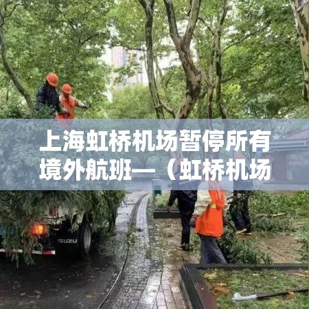 上海虹桥机场暂停所有境外航班—（虹桥机场关闭所有境外航班）