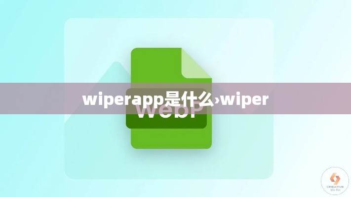 wiperapp是什么›wiper wiperapp是什么›wiper