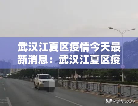 武汉江夏区疫情今天最新消息:武汉江夏区疫情报告 武汉江夏区疫情今天最新消息:武汉江夏区疫情报告