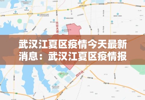 武汉江夏区疫情今天最新消息:武汉江夏区疫情报告