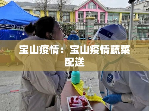 宝山疫情：宝山疫情蔬菜配送