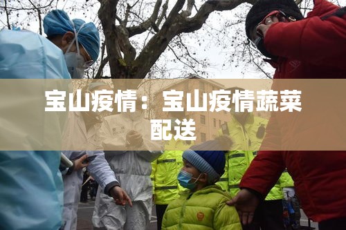 宝山疫情：宝山疫情蔬菜配送