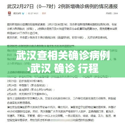 武汉查相关确诊病例›武汉 确诊 行程