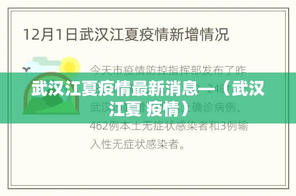 武汉江夏疫情最新消息—（武汉江夏 疫情）