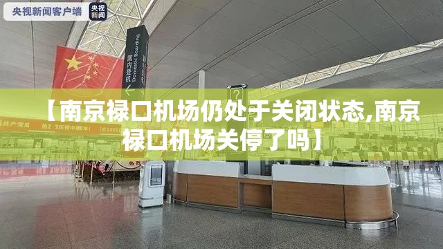 【南京禄口机场仍处于关闭状态,南京禄口机场关停了吗】