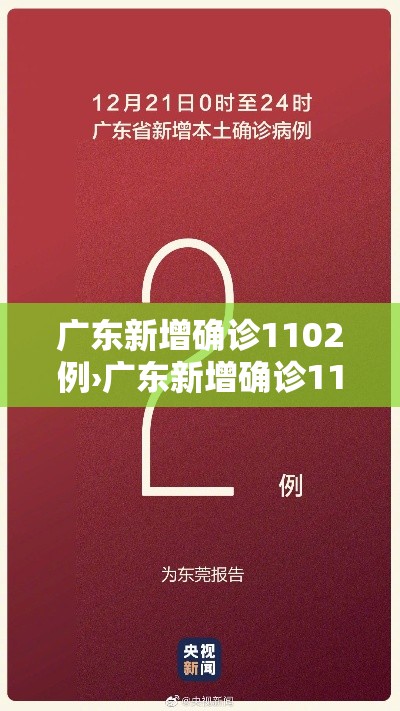 广东新增确诊1102例›广东新增确诊1102例是哪里的
