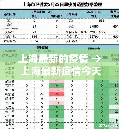 上海最新的疫情 → 上海最新疫情今天新增2024