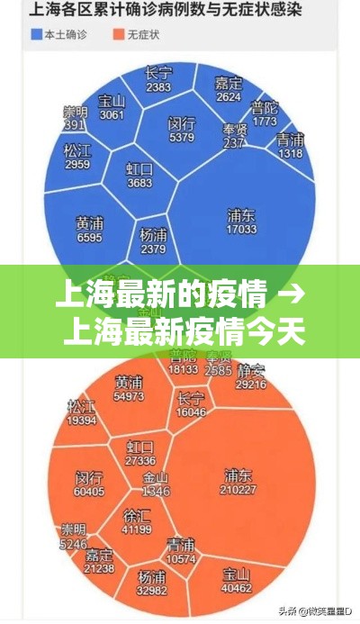 上海最新的疫情 → 上海最新疫情今天新增2024